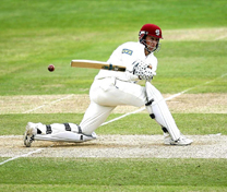 Cricket