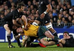 aussie prostituata din springboks ciocnire