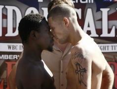bellew va fi durere