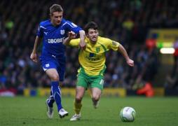 bluebirds c ut nd insulele canare se n pusti