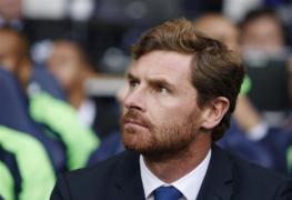 cardiff city v tottenham