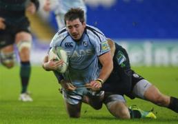 cardiff mull pitch artificiale