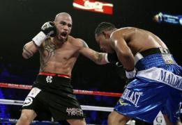 cotto gata s prind p str vi