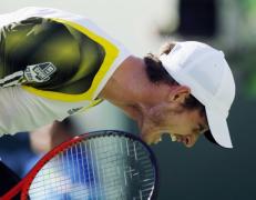 del potro lupte inapoi pentru a bate murray