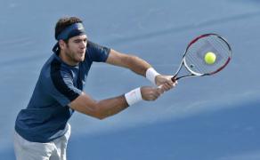 del potro stabile te djokovic ciocnire
