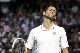 djokovic andy meritat succes