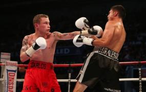 frampton gata pentru molitor
