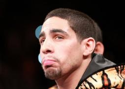 gata s knock out morales garcia