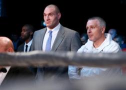haye v furie furie obiective klitschko