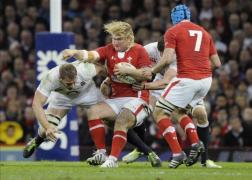 hibbard ara galilor scrum este cinstit 