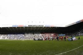 juca newcastle n jos pentru vanzare specula ii