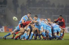 jum tate de timp v nzare rechini 6 11 toulon