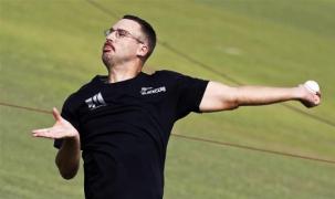 kiwi se prelinge odi ncredere vettori