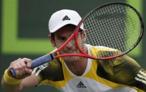 murray bate dimitrov