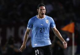 muta crinuka visele din madrid