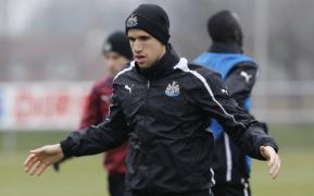 newcastle obertan nc n pardew pe planuri