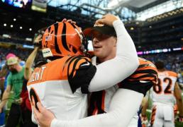 nfl previzualizare de bengals dolphins