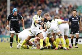 ospreys acord face pro cu williams
