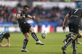 ospreys cravat n jos cheie pereche de coaching