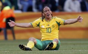 pienaar se nchide africa de sud