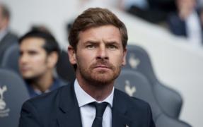 porumb lloris va trebui s fie pacient 