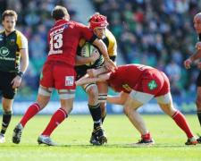 scarlets nscrie syman