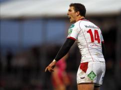 scarlets uimit la wru declara ie