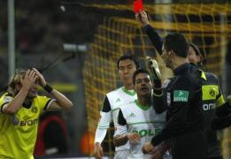 schmelzer pe cartona ro u anulat