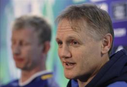 schmidt sympathises cu rinichi