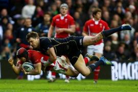 scottish rugby numi thomson