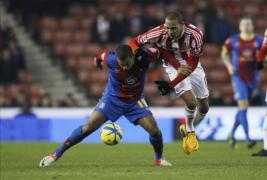 stoke city v crystal palace
