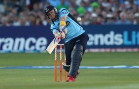 sussex semna din nou styris