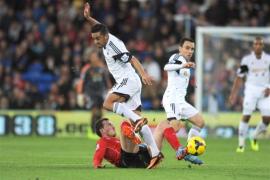 swansea britton rues nepermis scopul