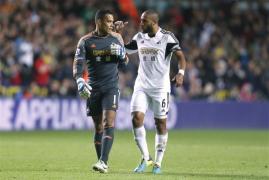 swansea echipa news lebede modific ri apte