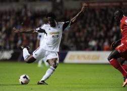 swansea osoase pe banc pentru palatul ciocnire
