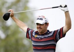 tigru ar fi fost dq d oosthuizen