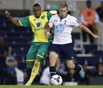 tottenham hotspur v norwich city
