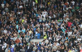 tottenham pinteni avertiza fani peste y word 
