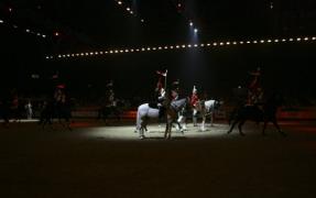 trei ani concureaz la horse show an