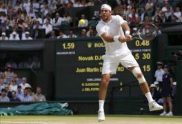 washington atp del potro fa isner n final 