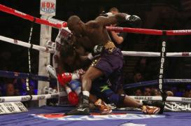 wilder zdrobe te harrison