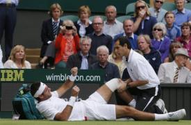 wimbledon stiri del potro r ni i