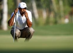 woods a demisionat de la un an de bun 