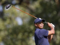 woods sunt par ial responsabil 
