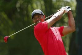 woods tigrul se intoarce