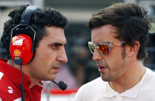 Ferrari driver Fernando Alonso has admitted that he has nothing to lose going into the Brazilian Grand Prix, the final race of the season.