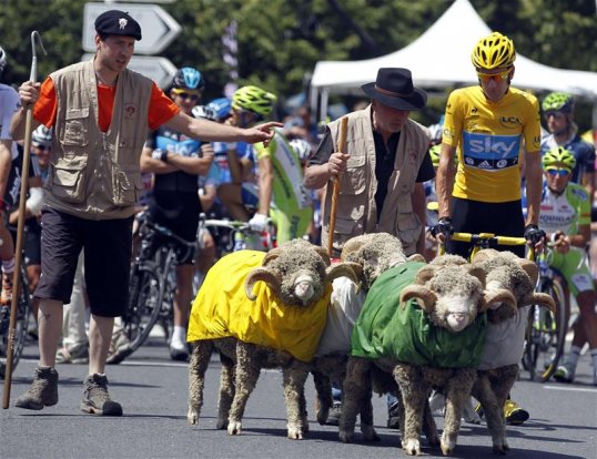 Sir Bradley Wiggins has admitted he has descended “like a bit of a girl” following crashes in the Giro d’Italia.