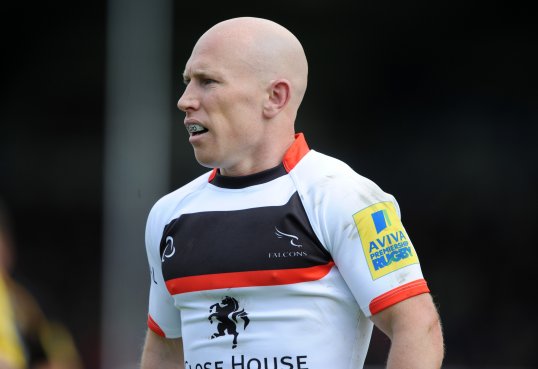Bath Rugby have recruited scrum-half veteran Peter Stringer as short-term injury cover.