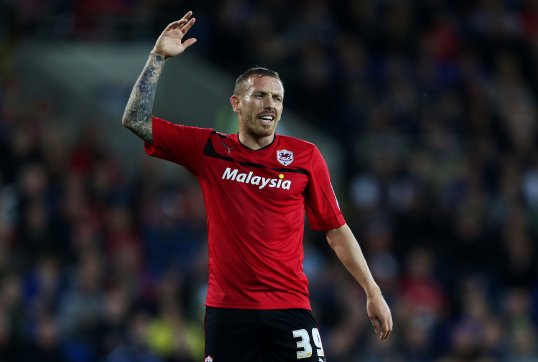 Wales manager Chris Coleman has said that Cardiff striker Craig Bellamy could still make the squad for the upcoming World Cup qualifiers.