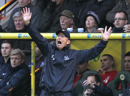 Crystal Palace manager Tony Pulis is ready for a challenging season ahead after a 1-0 defeat in his first match in charge.